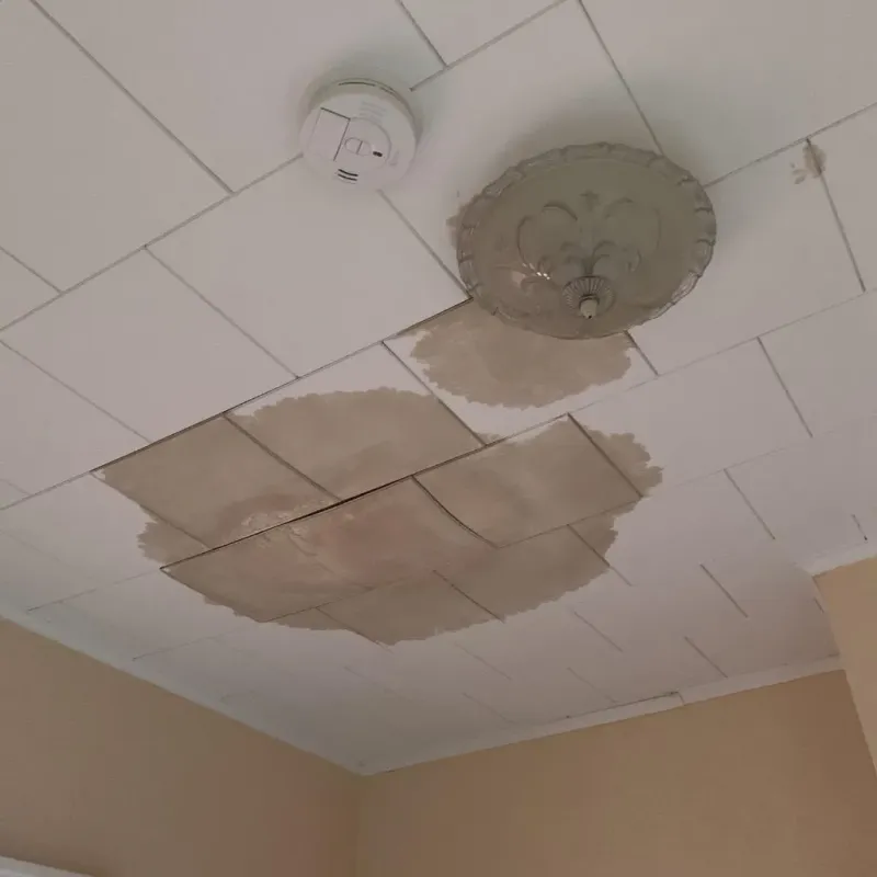 Ceiling Water Damage Repair in Sanford, NC