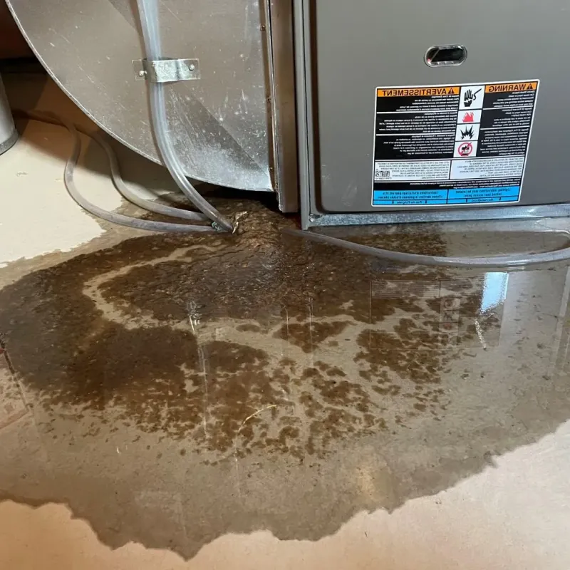 Pipe Burst and Leak Restoration in Sanford, NC