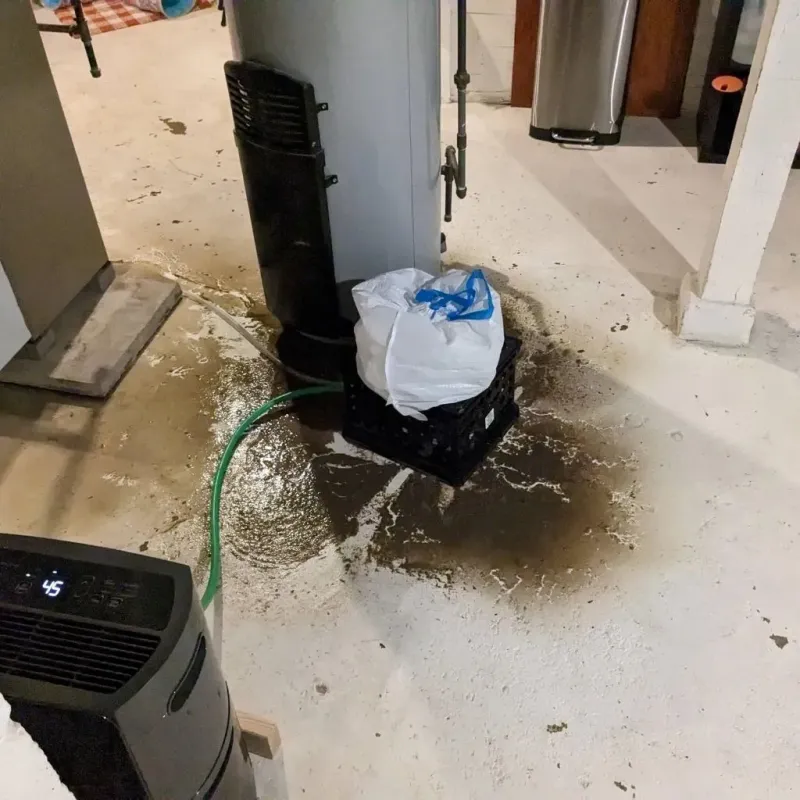 Sewage Backup Cleanup Service in Sanford, NC